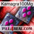 Kamagra100Mg 01